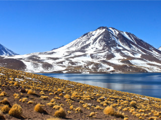 Visita ao Salar do Atacama, Lagunas Altiplanas e Piedras Rojas com Almoço