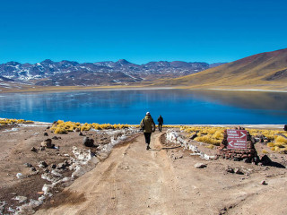 Salar do Atacama, Lagunas Altiplanas e Piedras Rojas com Almoço Inclui entradas
